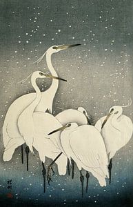 Aigrettes dans la neige, Ohara Koson