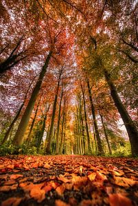 Herbst, die schönste Farbpalette des Jahres