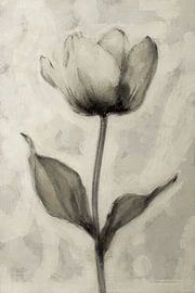 Vergängliche Schönheit | Taupe von Kanzo