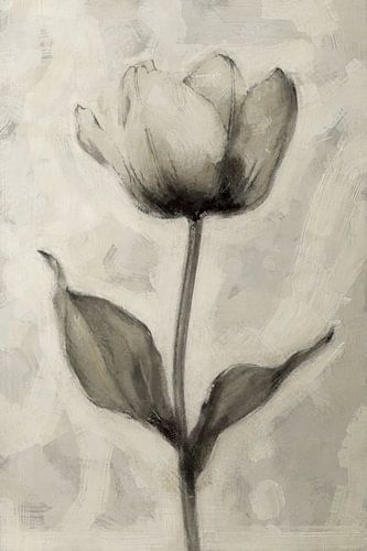 Ephemeral Beauty | Taupe