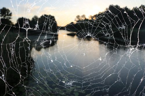 Verbinding in stilte