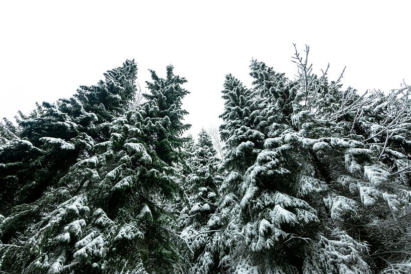 Paysages d'hiver par Johnny Flash