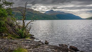 De geweldige bergen van Schotland van René Holtslag