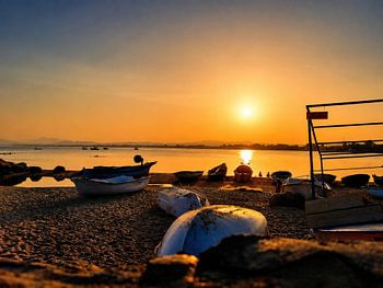 Golden Silence by the Sea