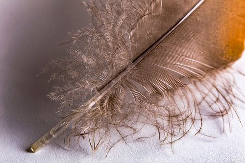 Resilience and strength