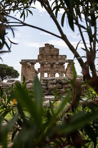 Unesco Werelderfgoed Peastum, Salerno, Italië