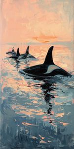 Sonnenuntergang mit Orcas
