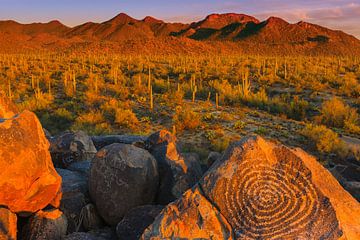 Signal Hill, Saguaro Nationaal Park, Arizona van Henk Meijer Photography