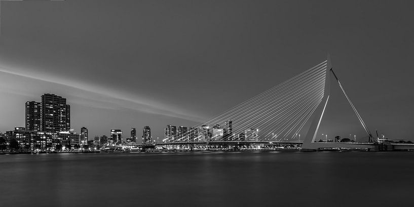 Erasmusbrug in Rotterdam in de avond - 7 van Tux Photography