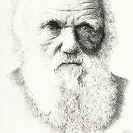 Darwin Portret van Skelte Braaksma
