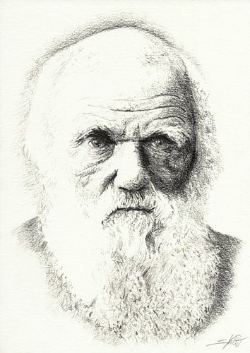 Portrait de Darwin
