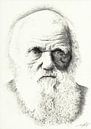 Darwin Portret van Skelte Braaksma thumbnail
