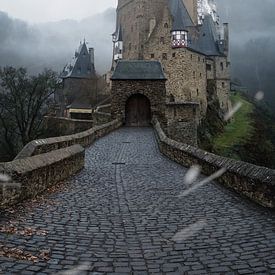 Burg eltz van Rico Franse