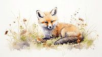 Baby-Fuchs