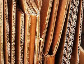 Golf-Karton van Caroline Lichthart