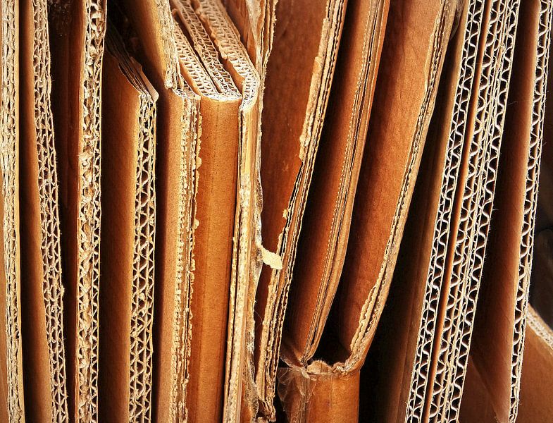 Die Wellpappe von Caroline Lichthart