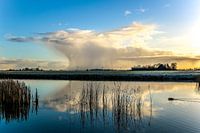 Regenbui in de vroege ochtend