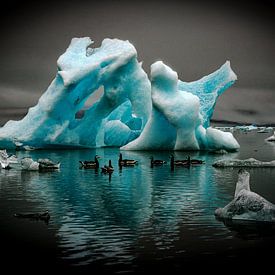 Schwimmende Eis-Skulptur mit Enten von images4nature by Eckart Mayer Photography