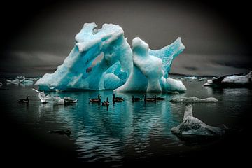 Drijvende ijssculptuur met eenden van images4nature by Eckart Mayer Photography