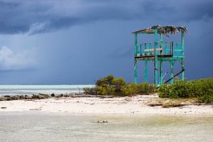 un endroit merveilleux pour une vue magnifique sur l'océan