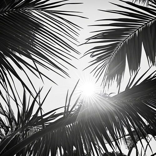 Zonlicht door palmbladeren