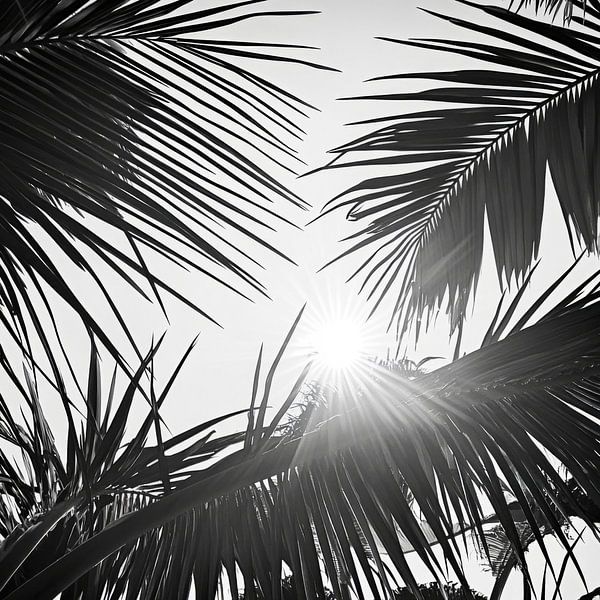 La lumière du soleil à travers les feuilles de palmier par Poster Art Shop