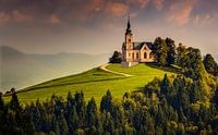 Église Saint-Léonard, Slovénie par Adelheid Smitt Aperçu