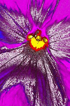 Flower in Purple van De Rover