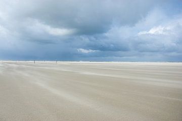 Strand Schouwen Duiveland van Judith Schrijver