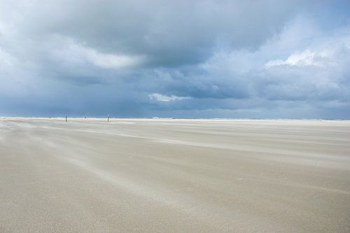Strand Schouwen Duiveland