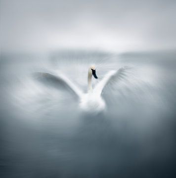 The way of an Angle by Hui