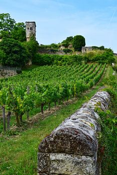 Village viticole de Saint-Emilion à Bordeaux
