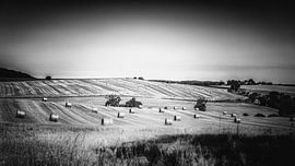 tilt shift landscape gers black and white