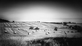 tilt shift landscape gers schwarz und weiß