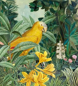 Yellow Parrots in Green Jungles