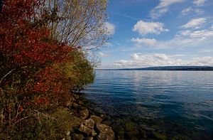 Bodensee
