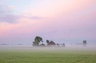 vogels vliegen over boerderij bij dageraad van Olha Rohulya thumbnail