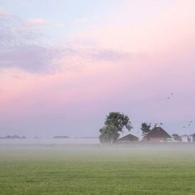 les oiseaux survolent la ferme à l'aube sur Olha Rohulya