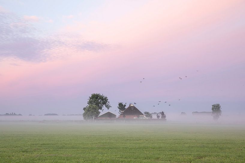 vogels vliegen over boerderij bij dageraad van Olha Rohulya