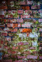 The Wall