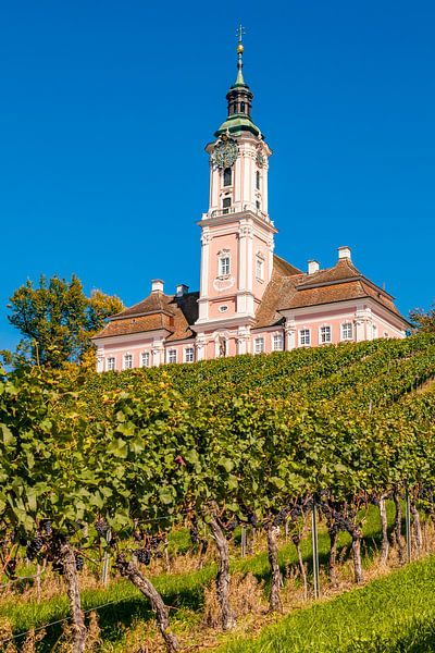 Pilgrimage church Birnau at Lake Constance by Werner Dieterich
