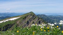 Hiking between Hochgrat Ridge and Rindalphorn - Scenic Alpine Landscape in Nagelfluhkette Bavaria von Sebastian Czech