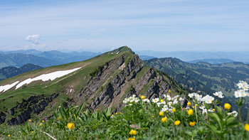 Hiking between Hochgrat Ridge and Rindalphorn - Scenic Alpine Landscape in Nagelfluhkette Bavaria