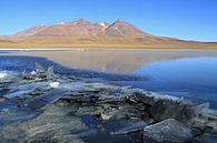 More in the Atacama Desert by Antwan Janssen thumbnail