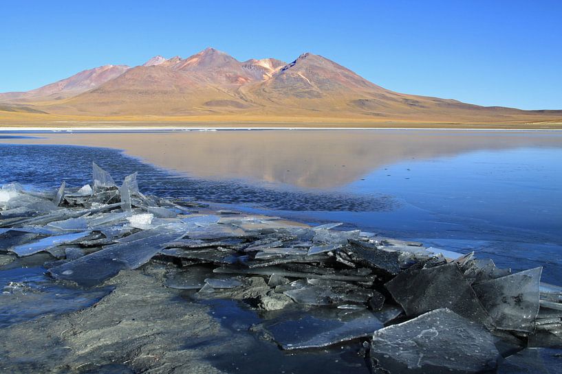 More in the Atacama Desert by Antwan Janssen