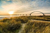 Fehmarnsund Bridge