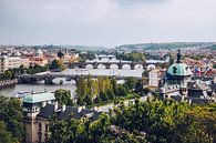 Prague - Vue sur la rivière Vltava par Alexander Voss Aperçu