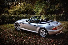 BMW Z3 von Rob Boon