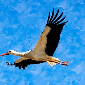 Cigogne en vol sur Andreas Müller