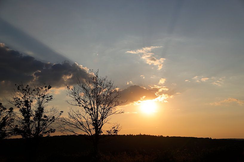 Sonnenharfen bei Sonnenuntergang, Saarburg von Marika Rentier